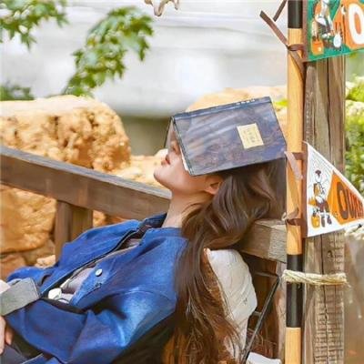 胶囊计划