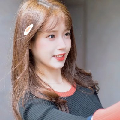 黑狐：希特勒